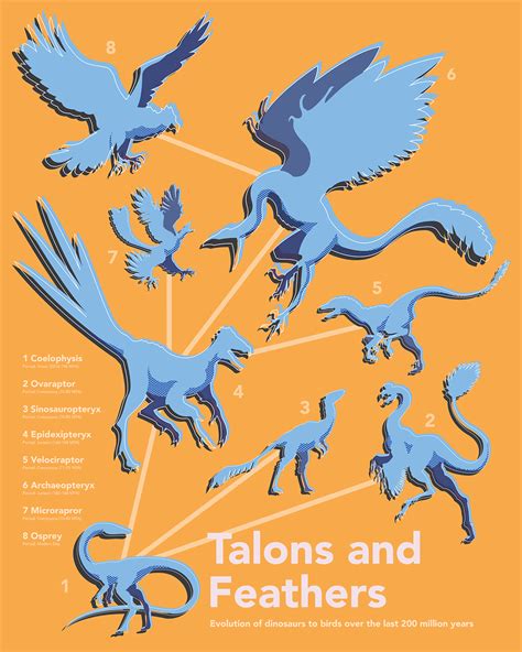 Evolution Bird 的图像结果