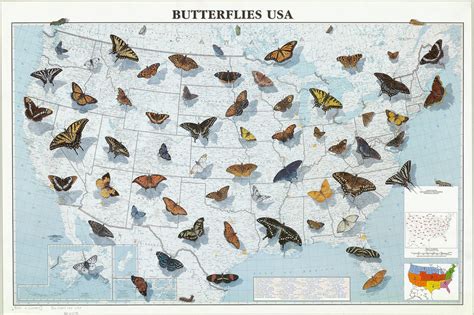 Butterfly Habitat Map at Peggy Rios blog