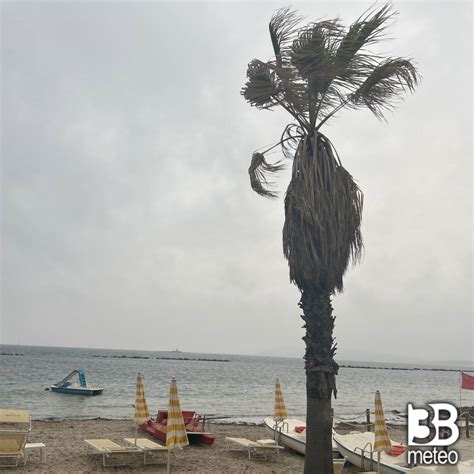 Libeccio 的图像结果