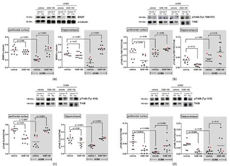 Analysis of Antidepressant-like Effects and Action Mechanisms of GSB ...