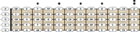 Image result for Banjo Tuning