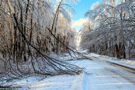 Extreme Weather 的图像结果