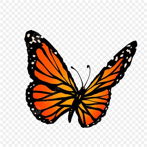 Blue Monarch Butterfly Clipart Transparent Background, Cartoon Orange ...