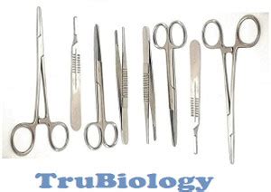 TRU BIOLOGY Surgical instruments set Stainless steel Utility Forceps ...