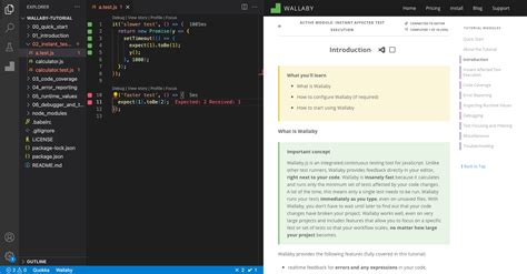 vs Code Interactive Window 的图像结果
