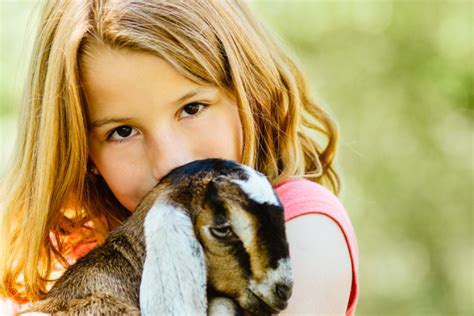 Image result for Making Goat Cheese Process