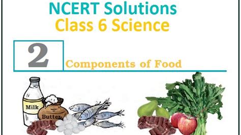 Image result for Science Class 6 Chapter 2 Components of Food