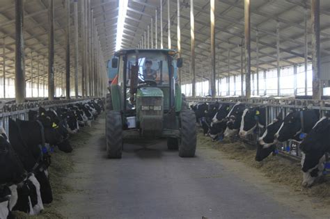 南达新农业股份有限公司畜牧业分公司（奶牛）跻身2019年国家级畜禽养殖标准化示范场名单-南达新农业股份有限公司