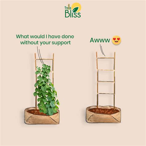 Trellis Bliss Bamboo H-Trellis – trellisblissindia