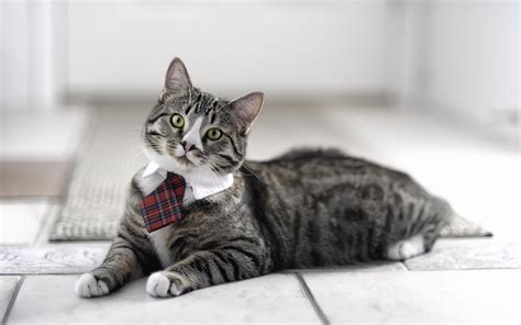 Image result for Initech Copy Machine