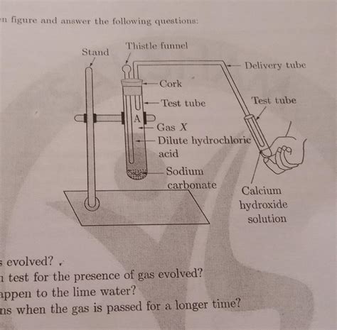 (i)which gas is evolved?(ii)how will you test for the presence of gas ...