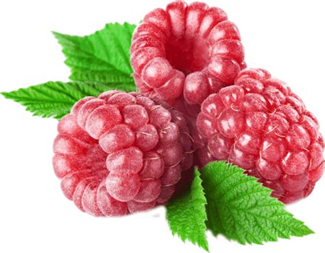 Image result for Raspberry Pi OS Lite Ffplay