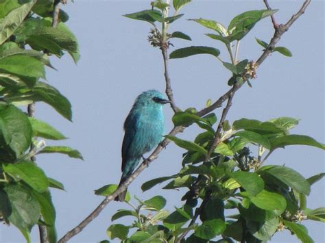 GREEN VALLEY (Rishop) - Lodge Reviews & Photos - Tripadvisor