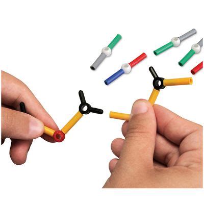 Biological Reproduction Model Kit 的图像结果