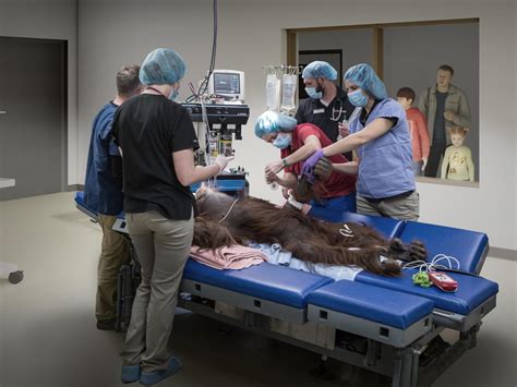 Zoo Maps - Phoenix Zoo