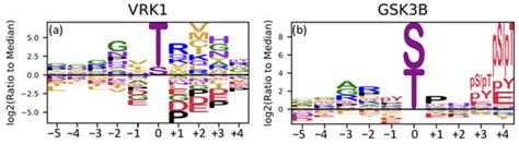 In Silico Analysis of the Missense Variants of Uncertain Significance ...