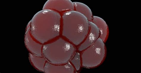 3D Spheroids | 3D Spheroid Cell Culture Models | Corning