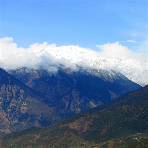 SNOWPOD (Chopta) - Campground Reviews & Photos - Tripadvisor