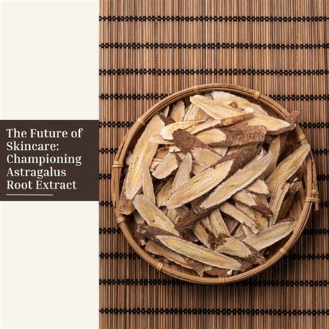 The Magic of Astragalus Root: Elevate Your Skincare Ritual | Clinikally
