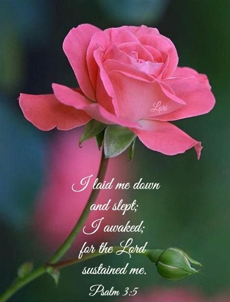 Image result for Beautiful Roses with Scripture