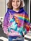 Kids Girls' Hoodie Long Sleeve 3D Print Unicorn Animal Pocket Pink ...