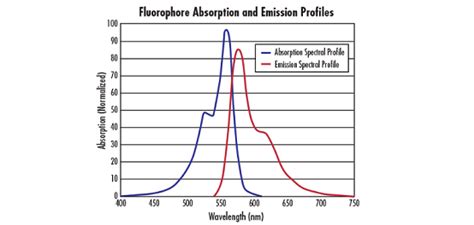 Optics for Antibody Detection | Edmund Optics
