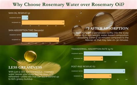 Exotic Aromas Rosemary Water Spray with Rice Water & Anagain For Hair ...