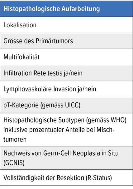 Massgeschneiderte treffgenaue Therapie ist bei Hodentumoren - Onkologie ...