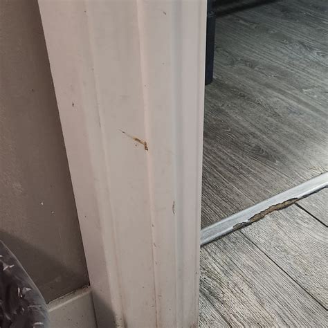 Motel 6 Inglewood Ca