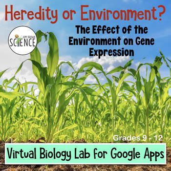 Virtual Lab Genetics 的图像结果