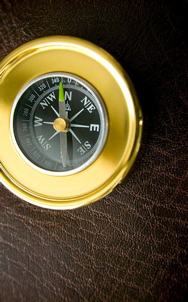 Compass 的图像结果