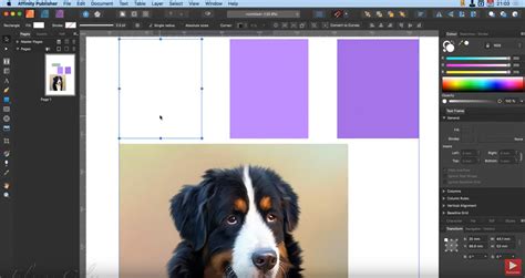 Image result for Affinity Publisher Tutorials