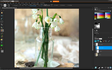 Paint Shop Pro 7 Tutorials 的图像结果