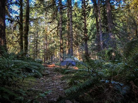 Where To Camp When All Campgrounds Are Full Oregon