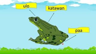 Image result for Rust Programming Language Examples