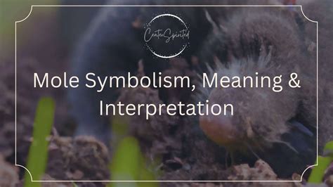 Mole Symbolism and Spiritual Meaning - Spirit Animal & Totem