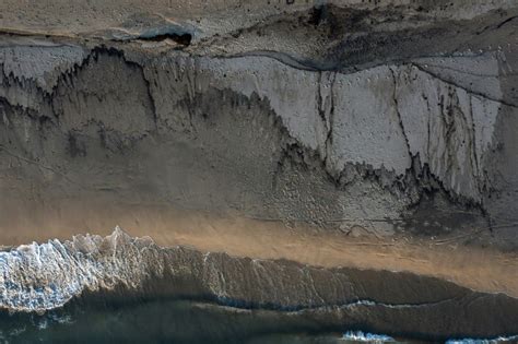 Alien Beach Creature 的图像结果