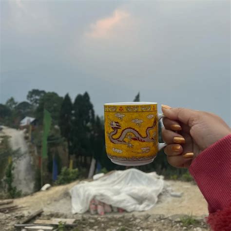 Misti Halder (@misti_halder00) • Instagram photos and videos