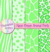 Image result for Baby Animal Prints