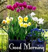Image result for Animated Good Morning Messages