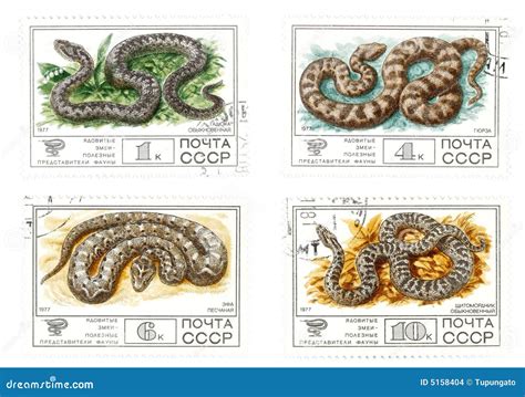 Old USSR Mail Stamps with Snakes Editorial Stock Image - Image of ...