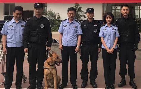 《警犬来啦》第36集01：华哨工作能力不行了，犯了一个大错，方所长很生气_电视剧_高清完整版视频在线观看_腾讯视频