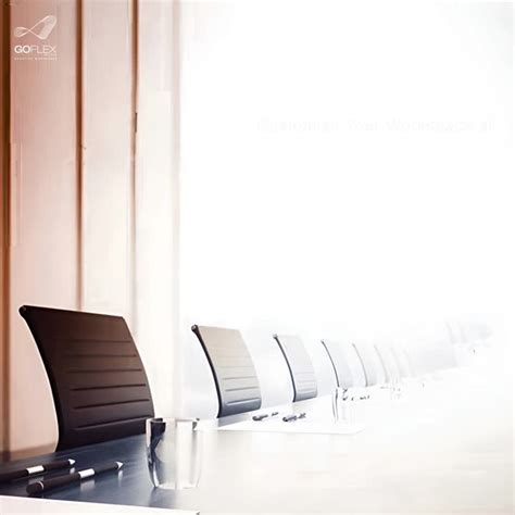 GoFlex Net 的图像结果