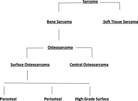 Image result for Sarcoma Staging