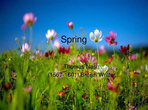 Springting Phases 的图像结果