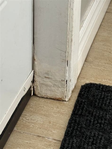 Need advise on door jamb repair : r/DIY