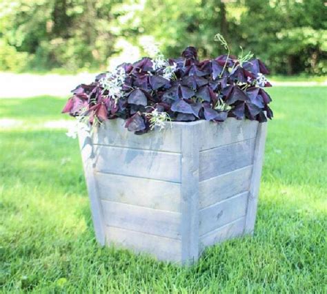 Image result for DIY Cheap Planter Box