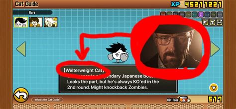 Battle Cats Rule : r/196