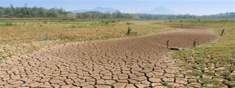 Global Climate 的图像结果