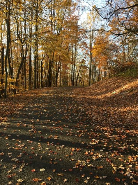West Morris Mountain Campground NC: Camping Reservations & Rates